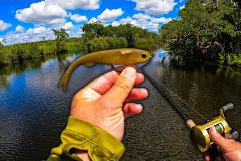Catching a Strange River Monster While Chasing After Big Fish