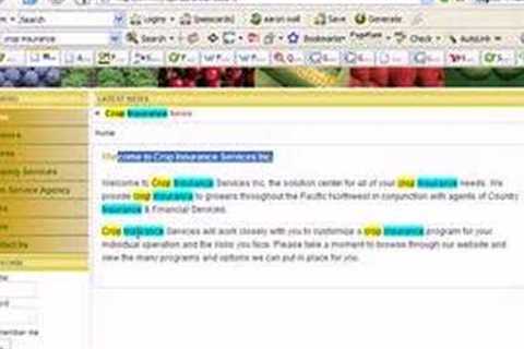 Google On Page SEO Tips &amp; Strategies