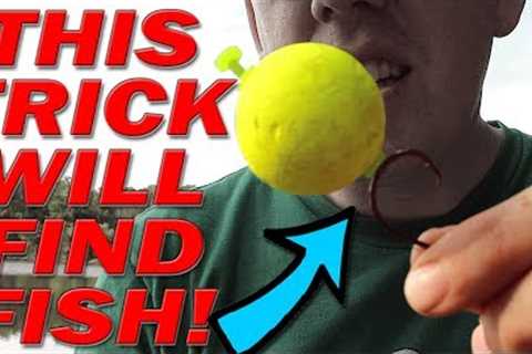BANK FISHING Trick to finding fish!!!  Catch more fish from shore: catfish, bass, carp