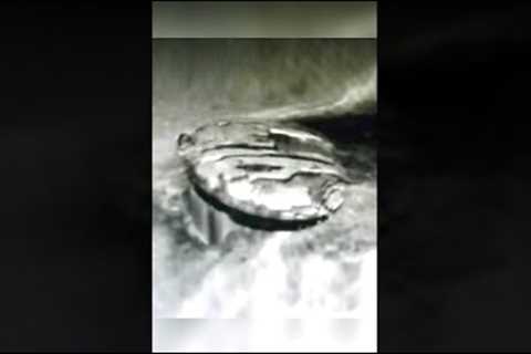 Divers Make A Shocking Discovery At The Bottom Of The Ocean #shorts