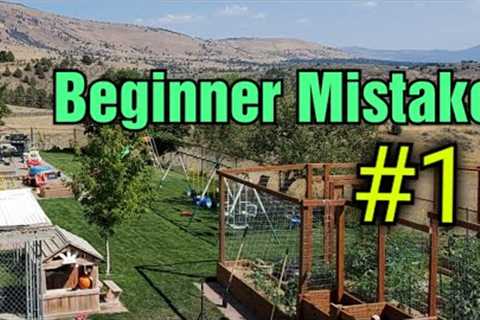 Beginners To Lawn Care Never Quite Understand This