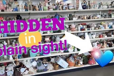 Hidden in Plain Sight! - Shop Along With Me - Goodwill Thrift Store