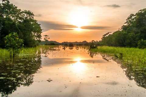 Top 8 Facts About Amazon Rainforest That Will Surprise You