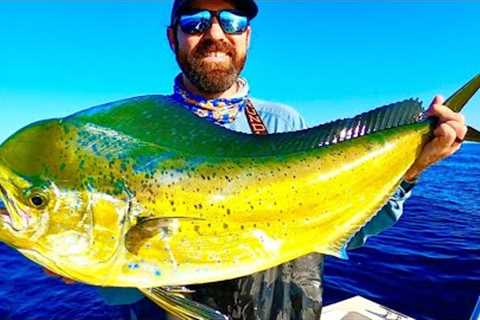 Dorado Fishing in Southern California! (Mahi Mahi Catch, Clean and Cook)