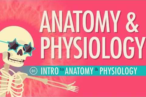Introduction to Anatomy &amp; Physiology: Crash Course Anatomy &amp; Physiology #1