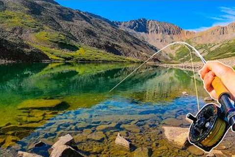 Fly Fishing a Lake LOADED with Trout!! (Fish Every Cast)
