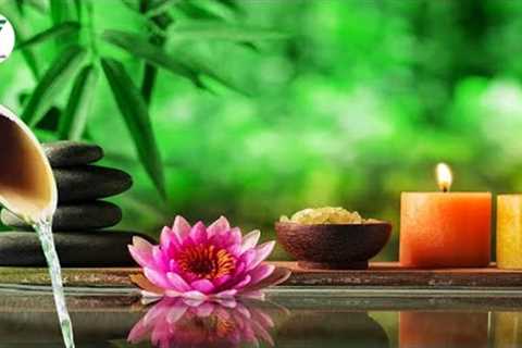 Relaxing Music With Quiet Piano Sound Heal Fatigue Relieve Stress Reduce Stress And Sleep Better