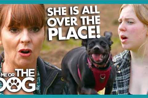 Dog BOLTS When Let Off The Leash! | It's Me or The Dog