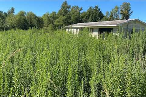 MILITARY Serviceman Able to Sell Home Gets FREE OVERGROWN Lawn Cleanup Recap Podcast Commentary