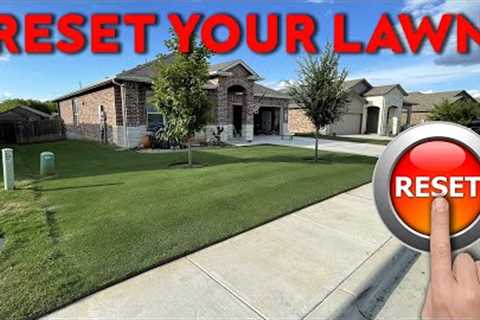 How I RESET My Bermuda Lawn