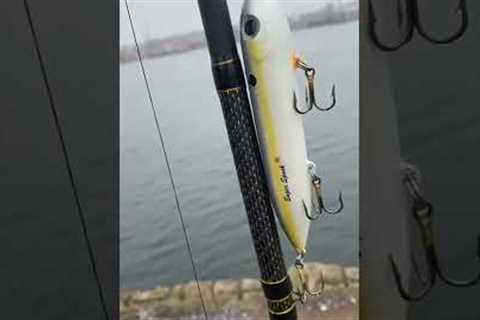 fishing before work when suddenly…😳