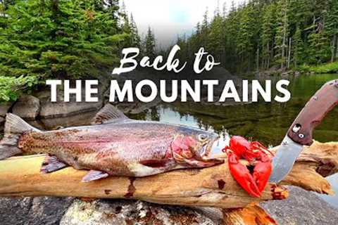 GIANT TROUT Fishing &amp; SOLO Camping!!! (Catch &amp; Cook Movie)