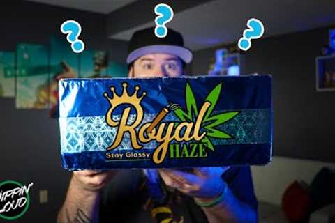 This $60 Stoner Mystery Box BLEW MY MIND!!!