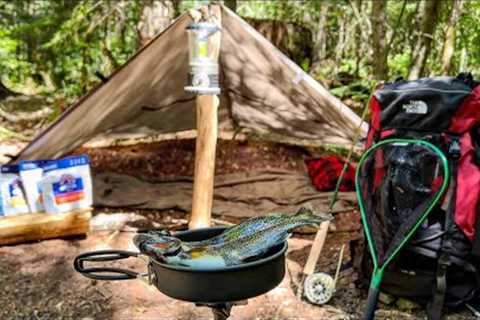 48 Hours In MOUNTAIN FOREST | Fly Fishing | Tarp Shelter Camping + WILD Trout Catch &amp; Cook