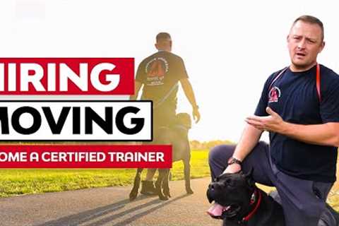 MAJOR CHANGES - We Are HIRING, MOVING, And TRAINING DOG TRAINERS!