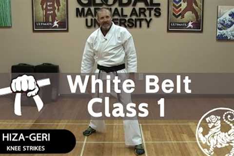 Shotokan Karate Follow Along Class - 9th Kyu White Belt - Class #1