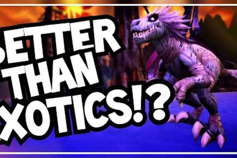 The Best NON-Exotic Hunter Pets! | Hunter Pet Guide | World of Warcraft Shadowlands 9.0.5