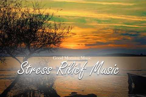 Morning Music to Relax the Soul - Helps Reduce Stress, Motivate Your New Day