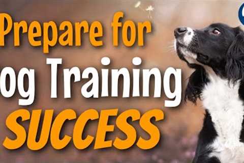 How To Teach Your Dog Anything With My Training Plan #172 #podcast
