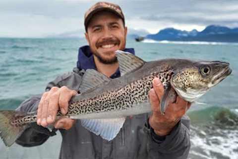 Hooking Fish at the Homer Spit | Fresh Seafood Catch &amp; Cook