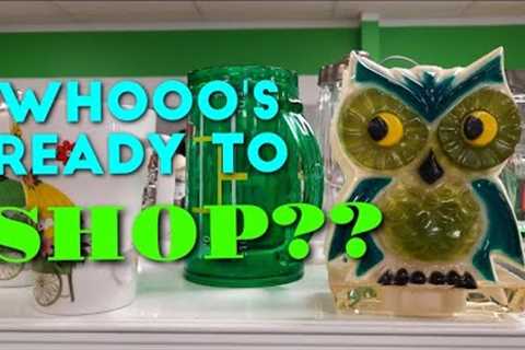 Whooo's Ready to Shop? - Shop Along with Me - Goodwill Thrift Store