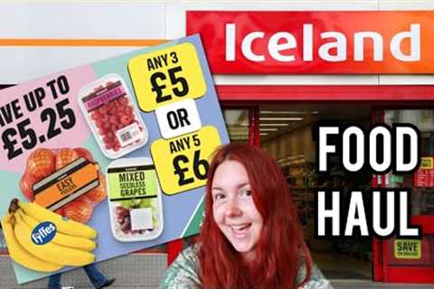 ICELAND FOOD HAUL - FAMILY OF 4 - £70 FOOD SHOP! BUDGET SHOPPING