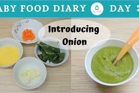 Baby Food | Baby Food Diary | Day 24 | 6 Months Baby Food Onion | 6m+ | Onion Baby Food Recipe