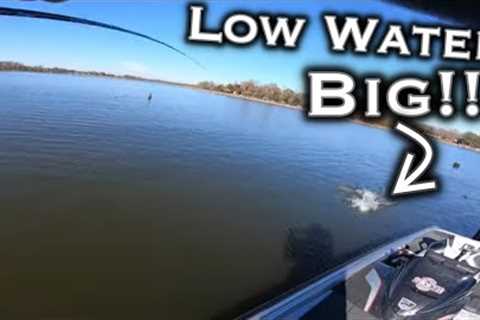 Lake Fork Winter Bass Fishing Tips: Complete Guide To Low Water Conditions For Giant Bass!!!