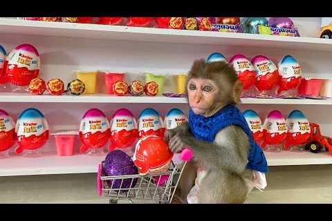 Baby Monkey Little BoBo doing shopping Goes Koi Fishing And Eats With Kittens Puppy