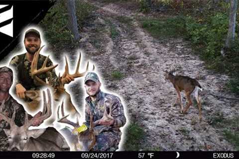 Where Is The Best Spot For September Trail Cameras? We Asked The Pro's