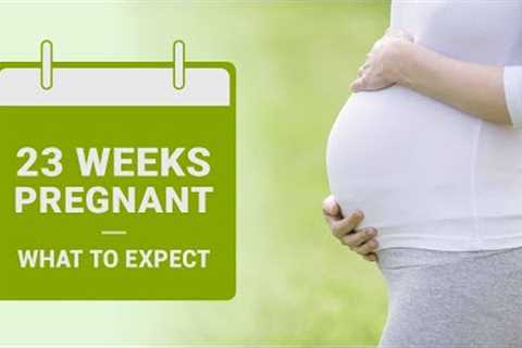 23 Weeks Pregnant - Symptoms, Baby Growth, Dos &amp; Don'ts