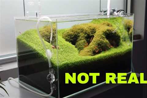 The MOST Beautiful aquarium fish tanks and store I have EVER SEEN!