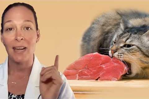 The Pros and Cons of Raw Cat Food (A Vet's Perspective)