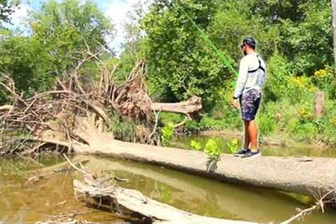 If You HAVEN'T Fished This Way...You Are MISSING Out!