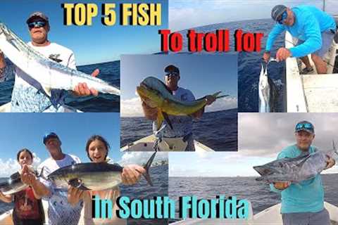 TOP 5 FISH to troll for in South Florida | How, when &amp; where to catch them