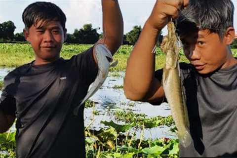 Hook Fishing Video | Man Fishing In The Lake  1