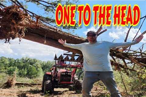 THIS WILL LEAVE A MARK!! LAND CLEARING | abandoned cabin | cabin build | tractor work | homesteading