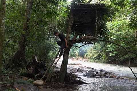 Build a tent in the tree to hunt and stay safe, survival in the tropical rainforest, episode 204