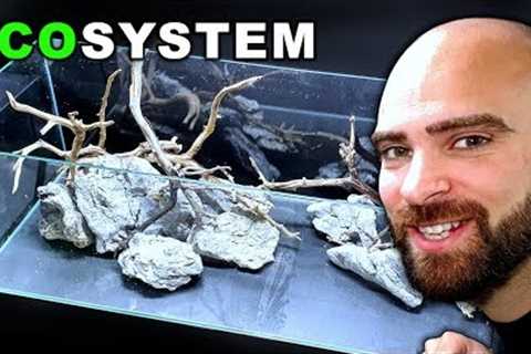 ECOSYSTEM AQUARIUM - NO WATER CHANGES | MD FISH TANKS