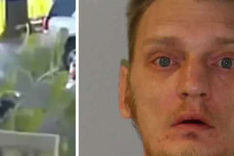 Alleged Abduction Attempt Caught on Ring Camera, Before Dad Chased Down Suspect