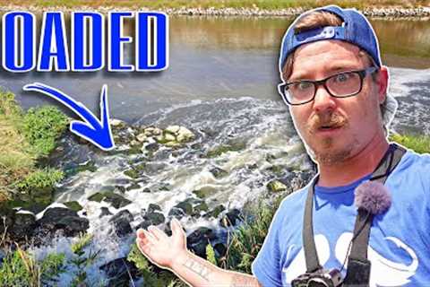 I FEEL STUPID For Not Fishing Here SOONER!!! (Water Treatment Plant)