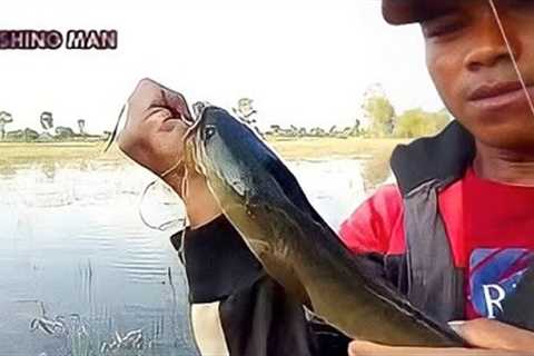 Fishing in the lake got strips snakehead. #Fishingman