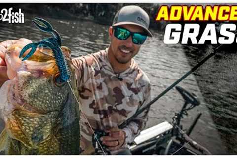 How to Find and Catch Bass in Weedy Lakes