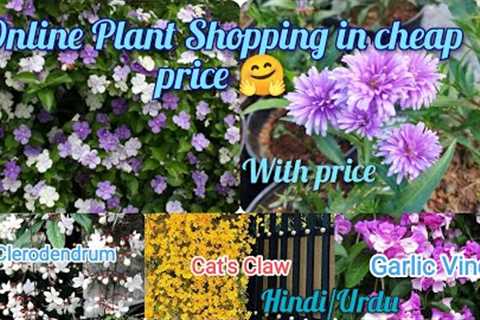 Online Plant Shopping//Online Plant buy cheap price//Hindi/Urdu