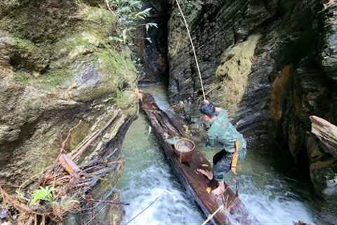 Catch and Cook Amazing Fish - Survival Cooking &amp; Survival instinct