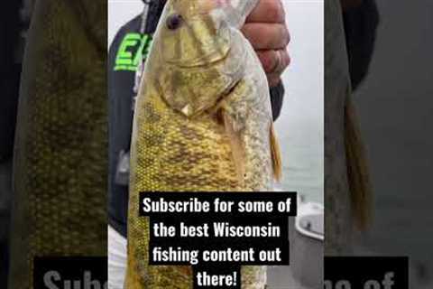 Big Wisconsin Smallmouth Bass Fishing Drop Shots!