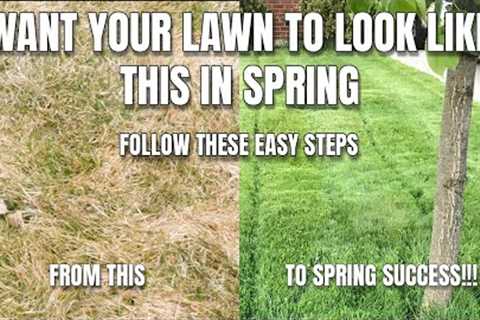 Spring Lawn Care Tips - How To Have The BEST Lawn On The Block. Q+A