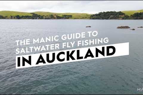 The Manic Guide To Saltwater Fly Fishing In Auckland