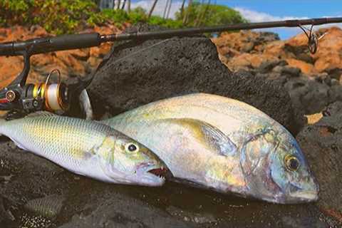 Catching &amp; Cooking Hawaiian Reef Fish (Tasty Tacos)