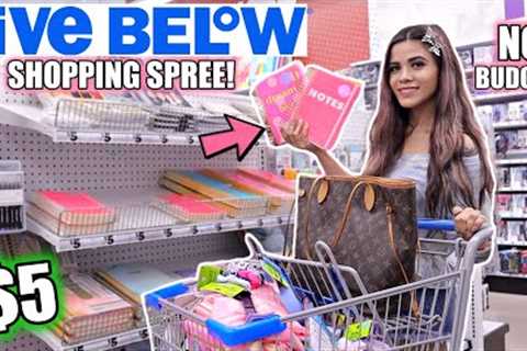 FIVE BELOW SHOPPING SPREE! *NO BUDGET*